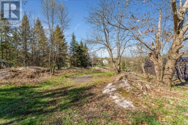 49 PINERIDGE DRIVE McDougall Ontario photo 15