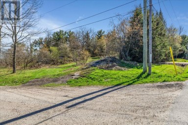 49 PINERIDGE DRIVE McDougall Ontario photo 5