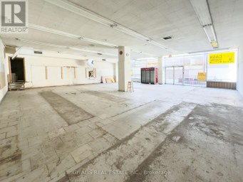VS - 160 SPRINGHURST AVENUE Toronto (South Parkdale) Ontario photo 1