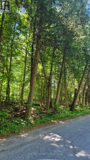 21-B MILL LINE ROAD, Trent Lakes, Ontario, K0M1A0