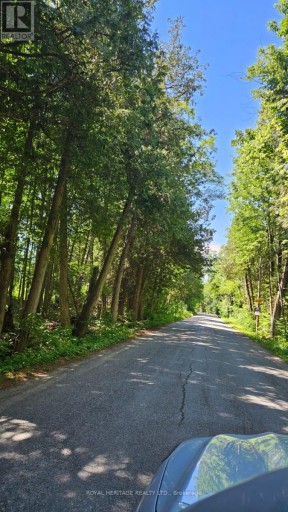 21-B MILL LINE ROAD, Trent Lakes, Ontario, K0M1A0