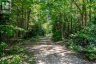 57 RATTRAY ROAD, Perry, Ontario, P0A1J0 (ID X13530720)