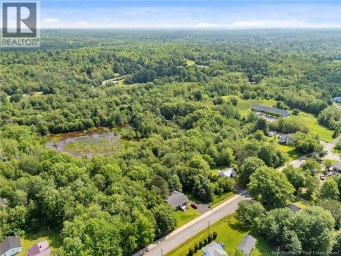 Lot Logue Road Minto New Brunswick photo 6