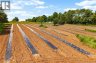 5925 Route 10, Hardwood Ridge, New Brunswick, E4A1B4 (ID NB143535)