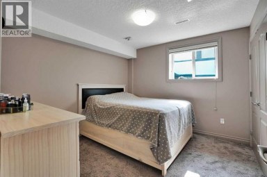 332 Saddlemont Boulevard NE Calgary Alberta photo 30
