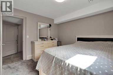 332 Saddlemont Boulevard NE Calgary Alberta photo 31