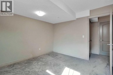 332 Saddlemont Boulevard NE Calgary Alberta photo 33