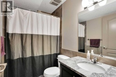 332 Saddlemont Boulevard NE Calgary Alberta photo 36