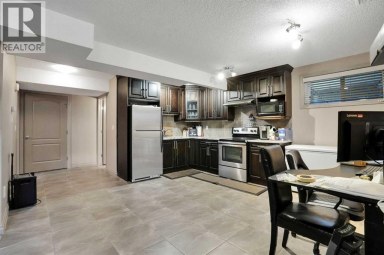 332 Saddlemont Boulevard NE Calgary Alberta photo 38