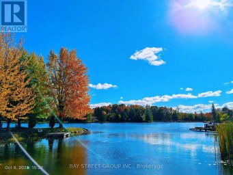 1355 CANAL ROAD Ramara Ontario photo 45
