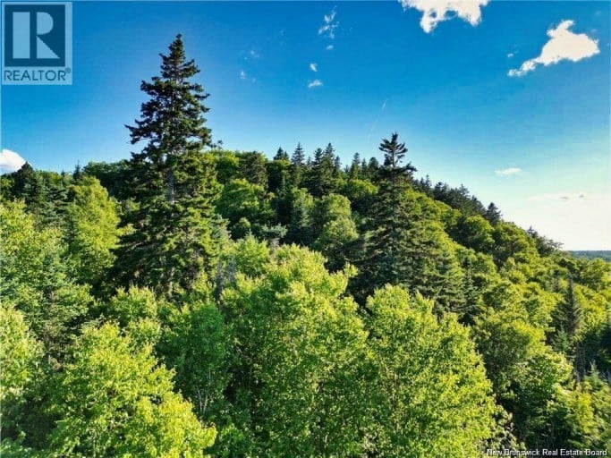 Lot 85-59 Bayview Drive, Wilsons Beach, New Brunswick, E5E1Z3