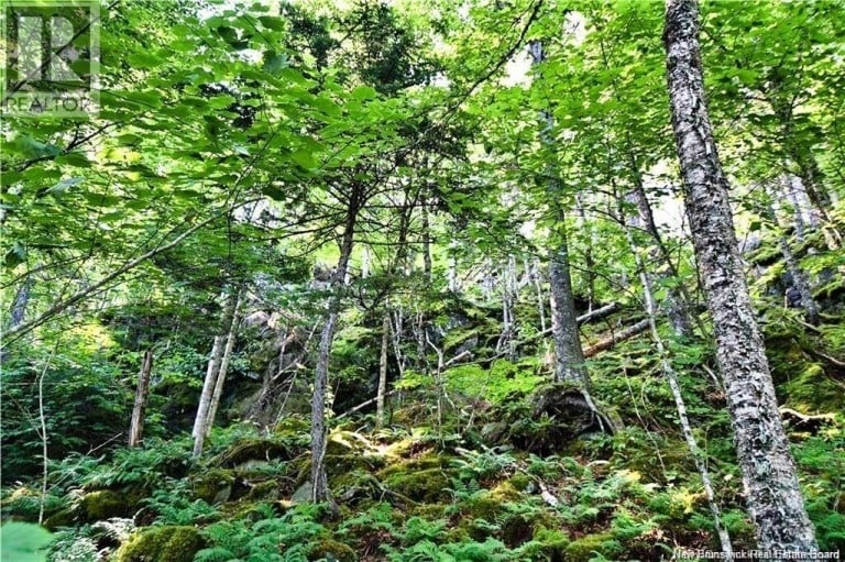 Lot 85-59 Bayview Drive, Wilsons Beach, New Brunswick, E5E1Z3