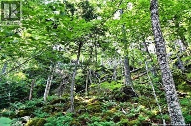 Lot 85-59 Bayview Drive Wilsons Beach New Brunswick photo 6
