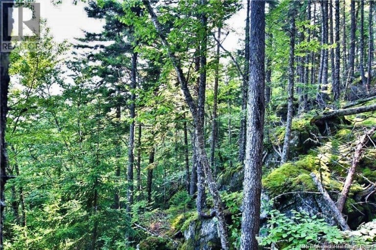 Lot 85-59 Bayview Drive, Wilsons Beach, New Brunswick, E5E1Z3