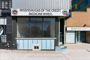 41 RONCESVALLES AVENUE Toronto (Roncesvalles) Ontario photo 2