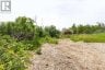 66 JANE STREET, Kawartha Lakes (bobcaygeon), Ontario, K0M1A0 (ID X13537690)