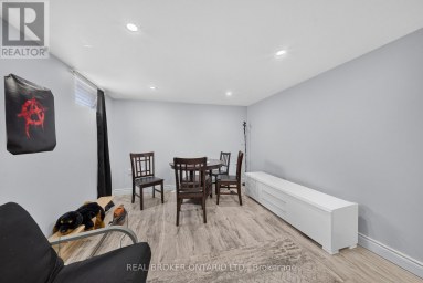 115 GREEN ROAD Hamilton (Stoney Creek) Ontario photo 25
