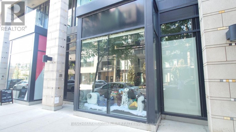 22 DOVERCOURT ROAD, Toronto (Little Portugal), Ontario, M6J0B6
