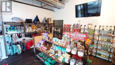 22 DOVERCOURT ROAD Toronto (Little Portugal) Ontario photo 12