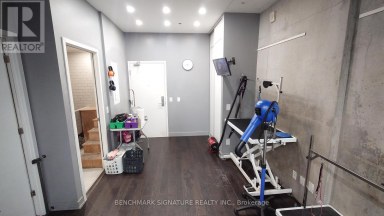 22 DOVERCOURT ROAD Toronto (Little Portugal) Ontario photo 13