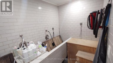 22 DOVERCOURT ROAD Toronto (Little Portugal) Ontario photo 14