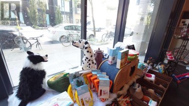 22 DOVERCOURT ROAD Toronto (Little Portugal) Ontario photo 8