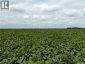 12,511 Acres of Farmland & Yard Sites Near Regina, Edenwold Rm No.158, Saskatchewan, S0G2T0 (ID SK041921)