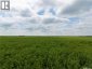 12,511 Acres of Farmland & Yard Sites Near Regina, Edenwold Rm No.158, Saskatchewan, S0G2T0 (ID SK041921)
