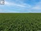 12,511 Acres of Farmland & Yard Sites Near Regina, Edenwold Rm No.158, Saskatchewan, S0G2T0 (ID SK041921)