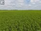 12,511 Acres of Farmland & Yard Sites Near Regina, Edenwold Rm No.158, Saskatchewan, S0G2T0 (ID SK041921)