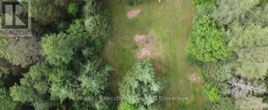 1988 ROYSTON ROAD, Ryerson, Ontario