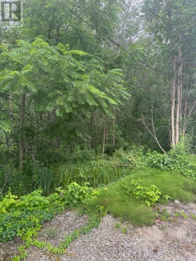 3330 QUETTON STREET, Severn (Washago), Ontario, L0K2B0
