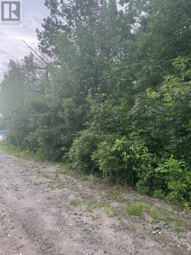 3330 QUETTON STREET, Severn (Washago), Ontario, L0K2B0