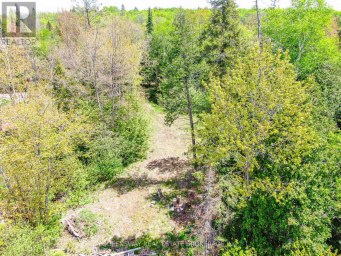 139 GIBSON BAY ROAD Whitestone (Hagerman) Ontario photo 3