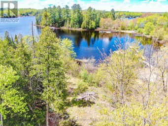 139 GIBSON BAY ROAD Whitestone (Hagerman) Ontario photo 4