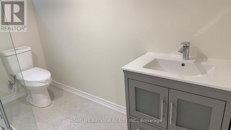 LOWER UNIT/BASEMENT - 128 ADAM PLACE, Newmarket (Bristol-London), Ontario, L3Y8C4