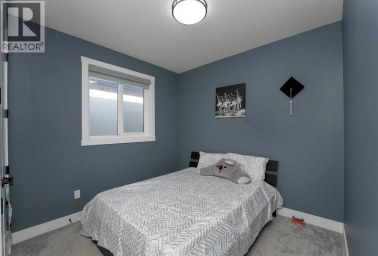 4831 87 Avenue NE Calgary Alberta photo 28
