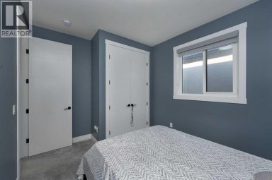4831 87 Avenue NE Calgary Alberta photo 29