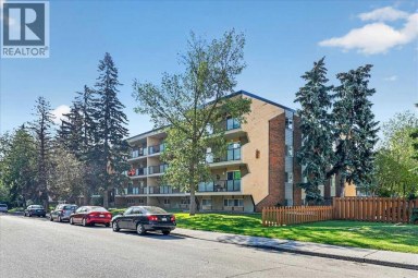 409, 617 56 Avenue SW Calgary Alberta photo 3