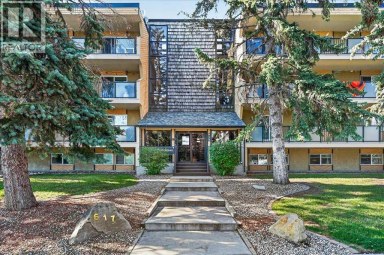 409, 617 56 Avenue SW Calgary Alberta photo 33
