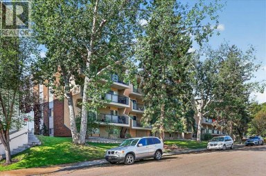 409, 617 56 Avenue SW Calgary Alberta photo 4