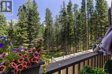246 Kluane Drive Banff Alberta photo 9