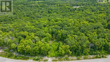 17 RORY DRIVE Selwyn Ontario photo 3