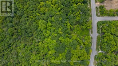 17 RORY DRIVE Selwyn Ontario photo 4