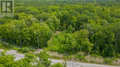 17 RORY DRIVE Selwyn Ontario photo 6