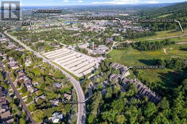 209 - 796404 GREY ROAD 19 ROAD Blue Mountains Ontario photo 10