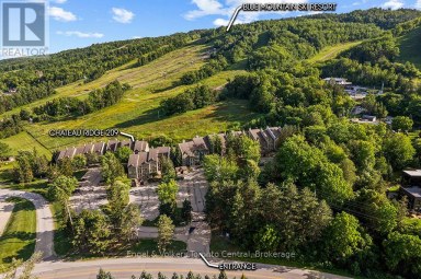 209 - 796404 GREY ROAD 19 ROAD Blue Mountains Ontario photo 9