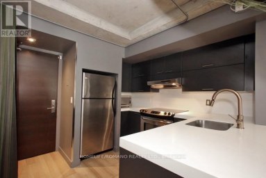 101 - 49 STEWART STREET Toronto (Waterfront Communities) Ontario photo 11