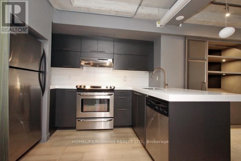 101 - 49 STEWART STREET, Toronto (Waterfront Communities), Ontario, M5V2V1