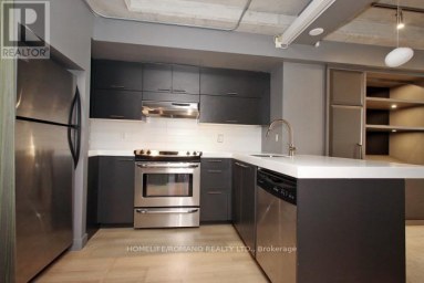 101 - 49 STEWART STREET Toronto (Waterfront Communities) Ontario photo 12